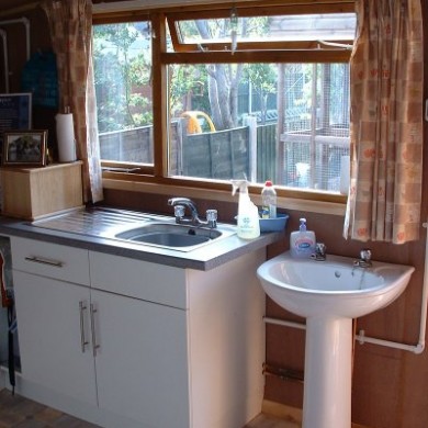 Kitchen Sink at Toton Cattery