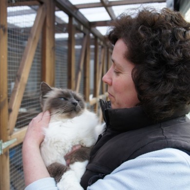 Owner of Toton Cattery Sue Stroking Miko