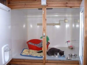 Clean Room at Toton Cattery