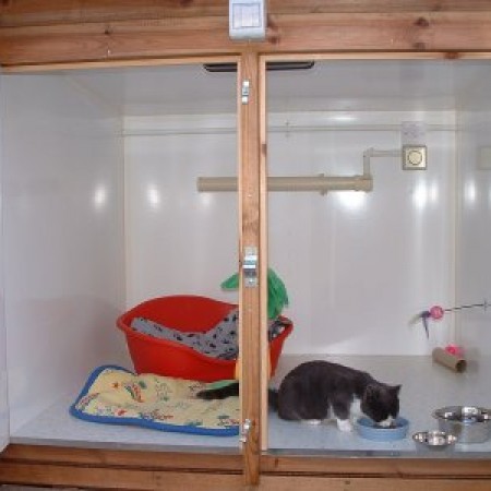 Clean Room at Toton Cattery