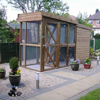 Isolation Unit at Toton Cattery 2