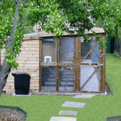 The rooms at Toton Cattery